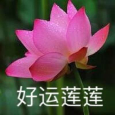 上海致公党举办“聚力侨海·致爱晖虹”爱心义卖